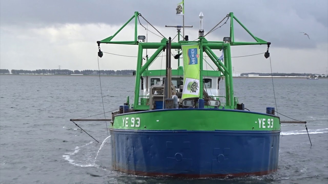 Mosselrondvaart op de Oosterschelde in Yerseke