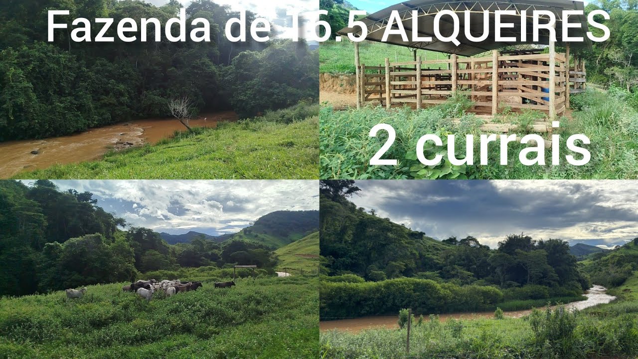 16.5 ALQUEIRES DE TERRA MARGEADA PELO RÍO.