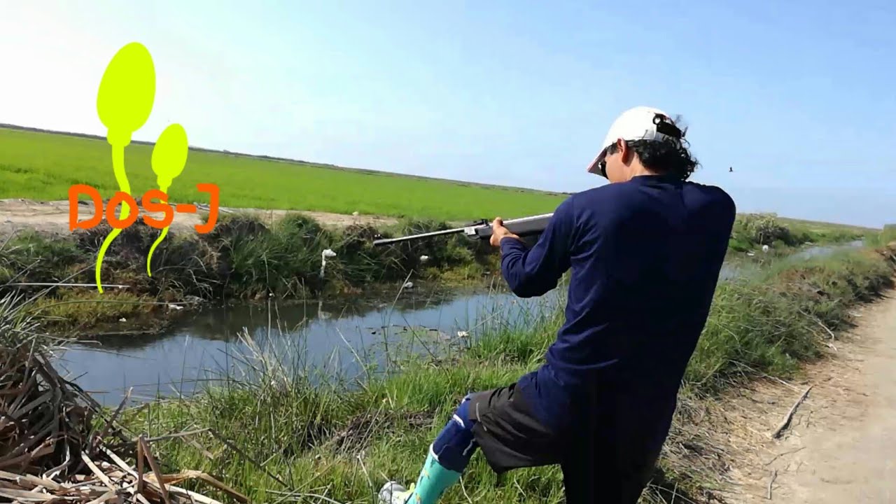 Cacería de patos | CAMANÁ - PERÚ
