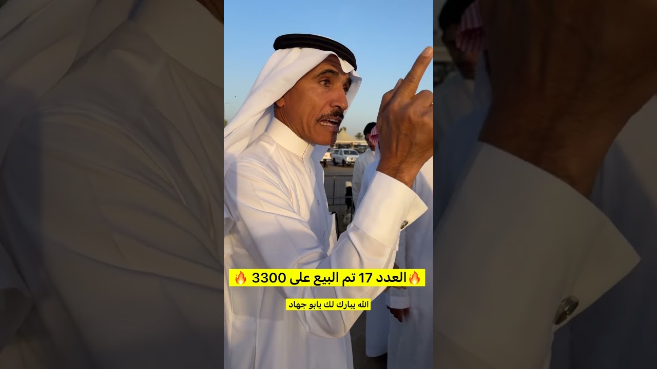 مشترى مشهور السناب ابو جهاد على 3300 للرأس من مدينة الانعام ببريدة #اكسبلور #السعودية #ترند