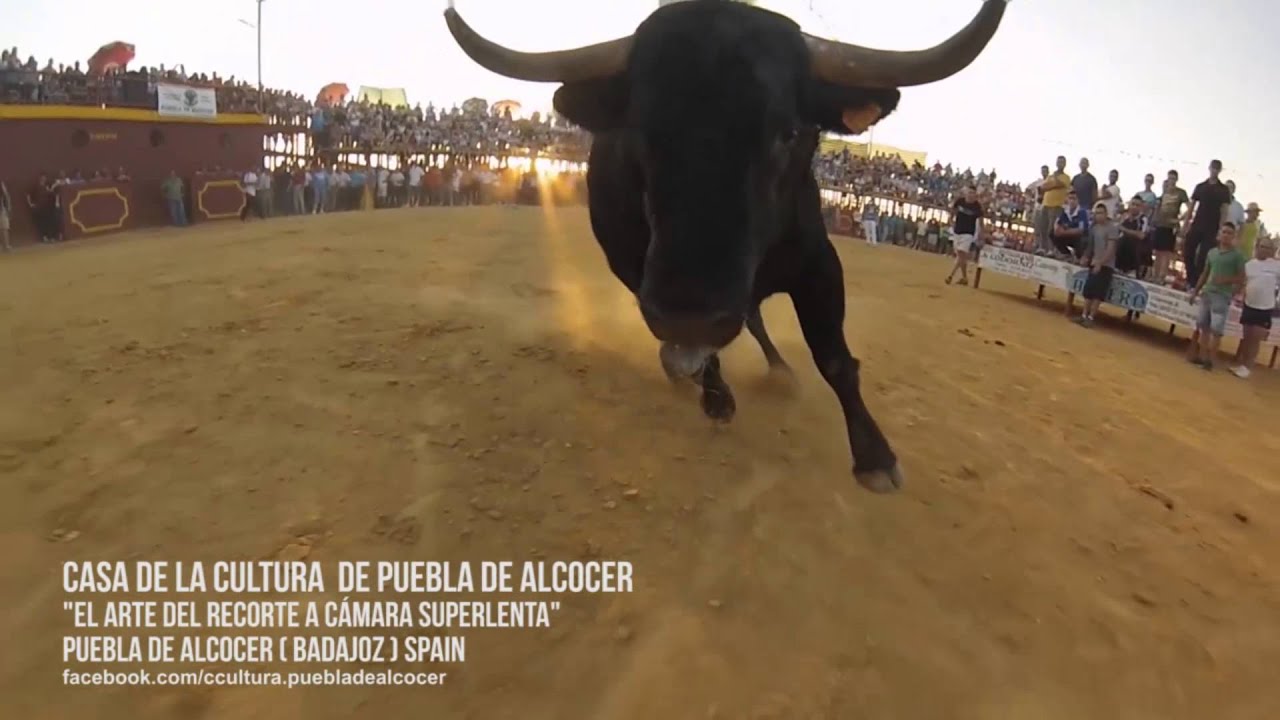 El arte del recorte a cámara lenta ( GoPro )