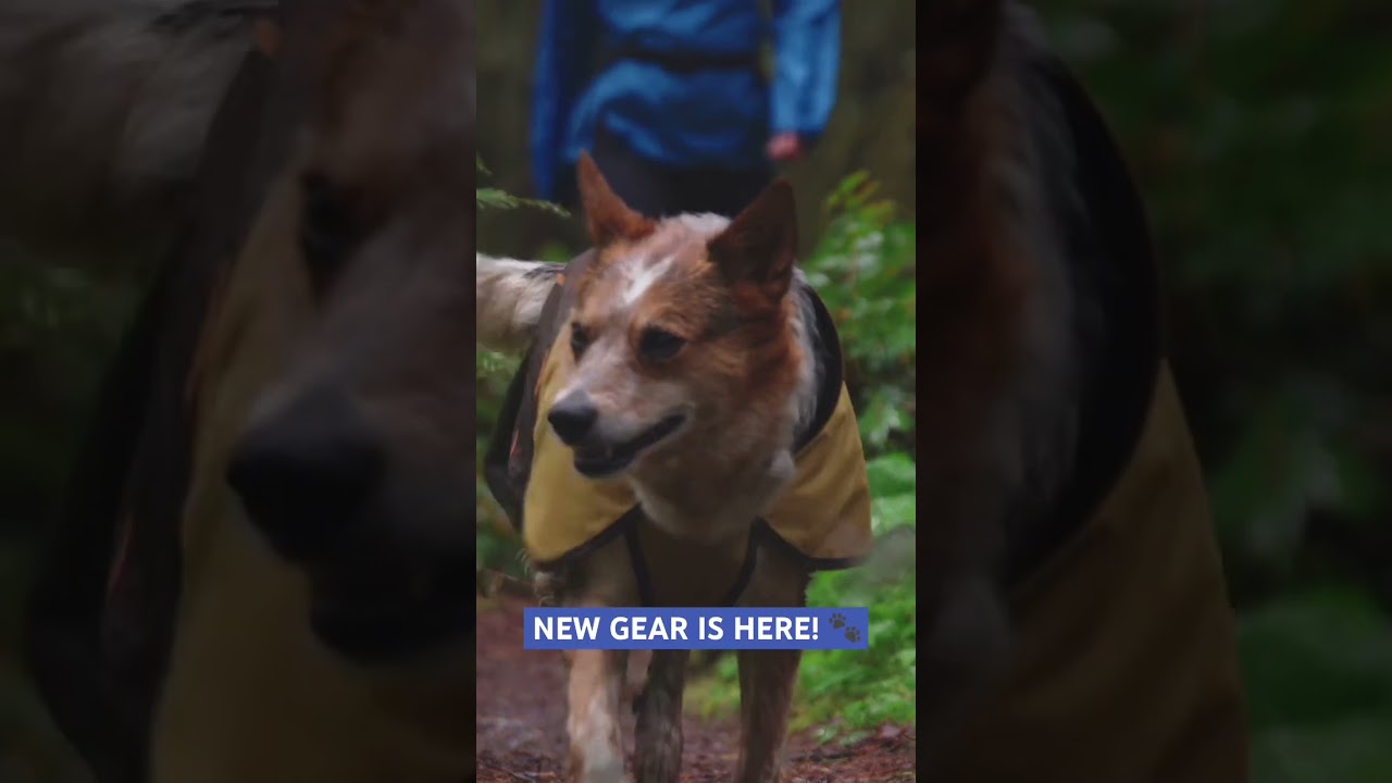 New Ruffwear gear has arrived! #rainjacket #dogtoys #dogshorts