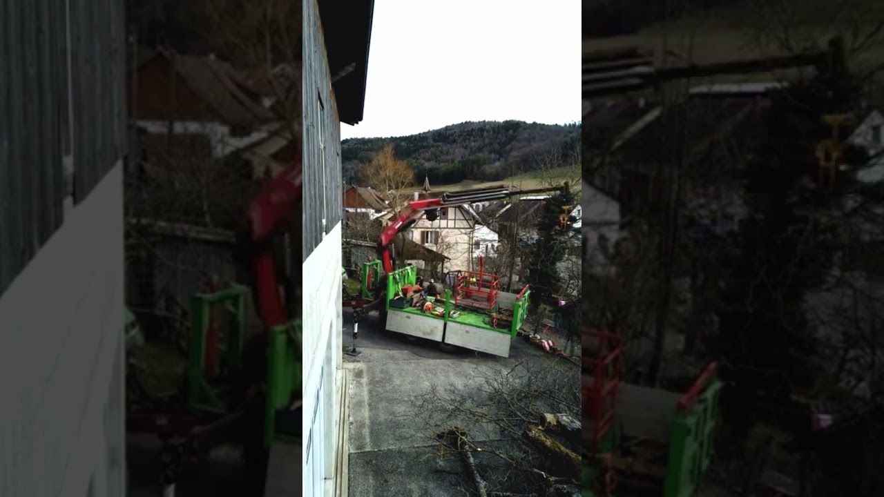 Felling trees safely with a Fassi F235XP crane and a GMT050 TTC #grapplesaw on a hook lift trailer