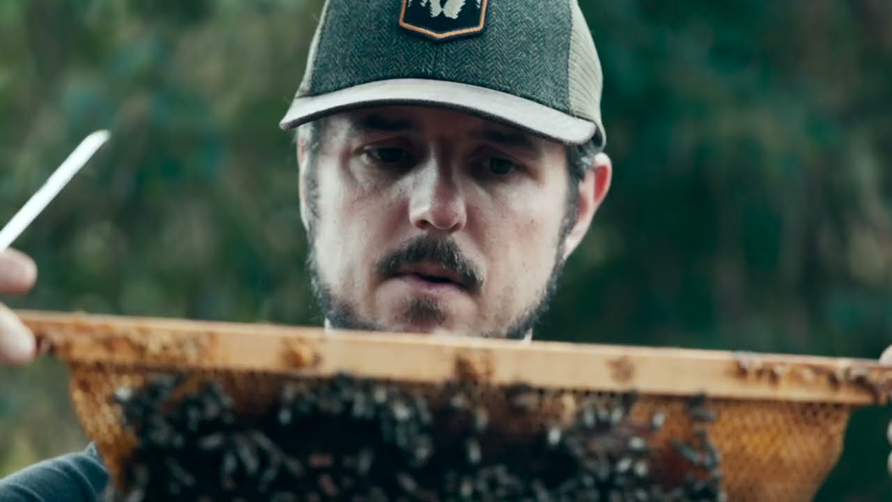 [Bee Factory] Une &eacute;co-entreprise au milieu des abeilles | Ballot-Flurin