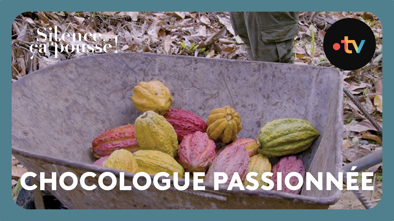 Chocologue passionnée - Silence ça pousse ! 11 Octobre 2025