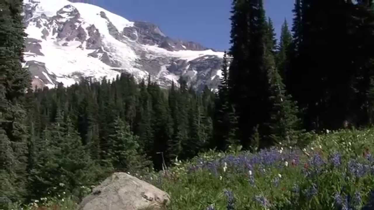 Journey Around the Mountain: Exploring Mount Rainier National Park