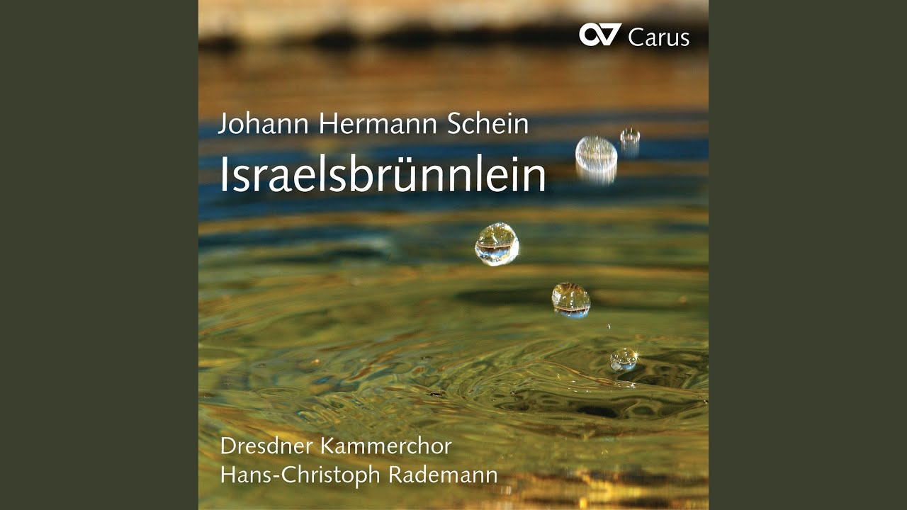 Schein: Israelsbrünnlein - No. 21, Was betrübst du dich, meine Seele