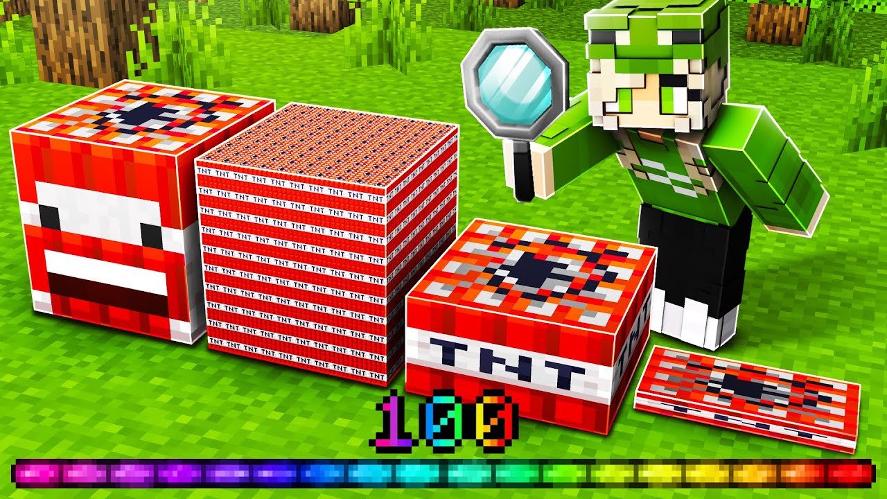 wir haben LEVE 1 bis LEVEL 100 TNT GETESTET...
