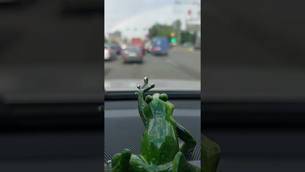 Exploring Nature: Frog and Rainbow