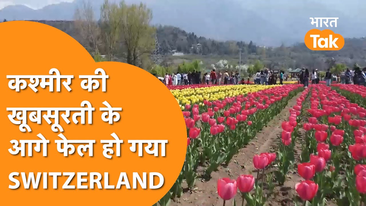 Kashmir के आगे दुनिया की हर खूबसूरती फेल, विदेशों से पहुंचे बड़ी संख्या में लोग