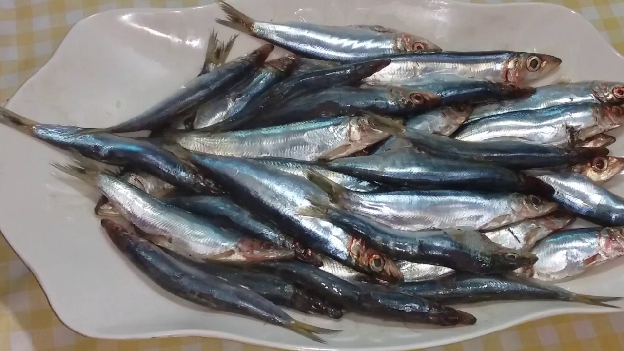 طريقه تخليل السردين البلدى وتمليحه بكل سهولة فى البيت وانظف من المحلات🐟🌲🌷🌳⚘