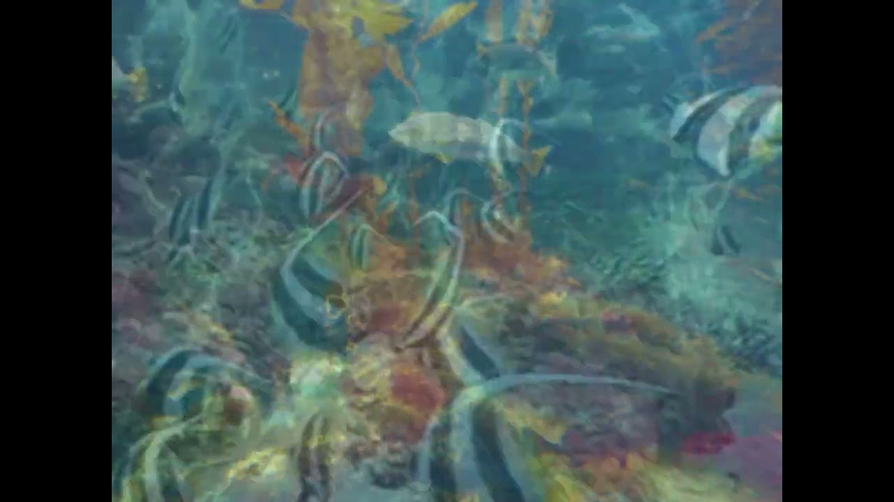 ROB DAVIX -  WATERDREAM