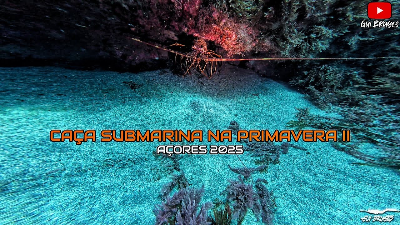 Caça Submarina na Primavera II - Açores 2025