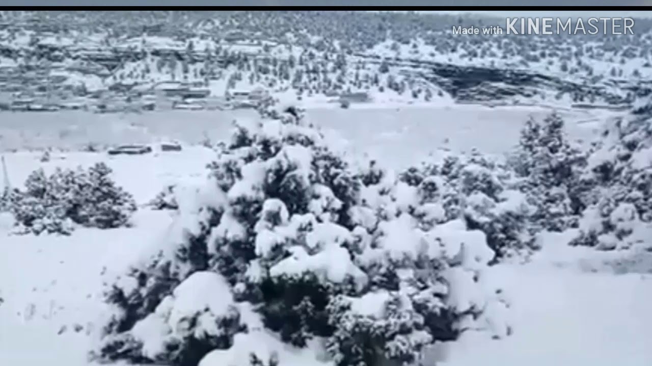 snowfall in ziarat 2019