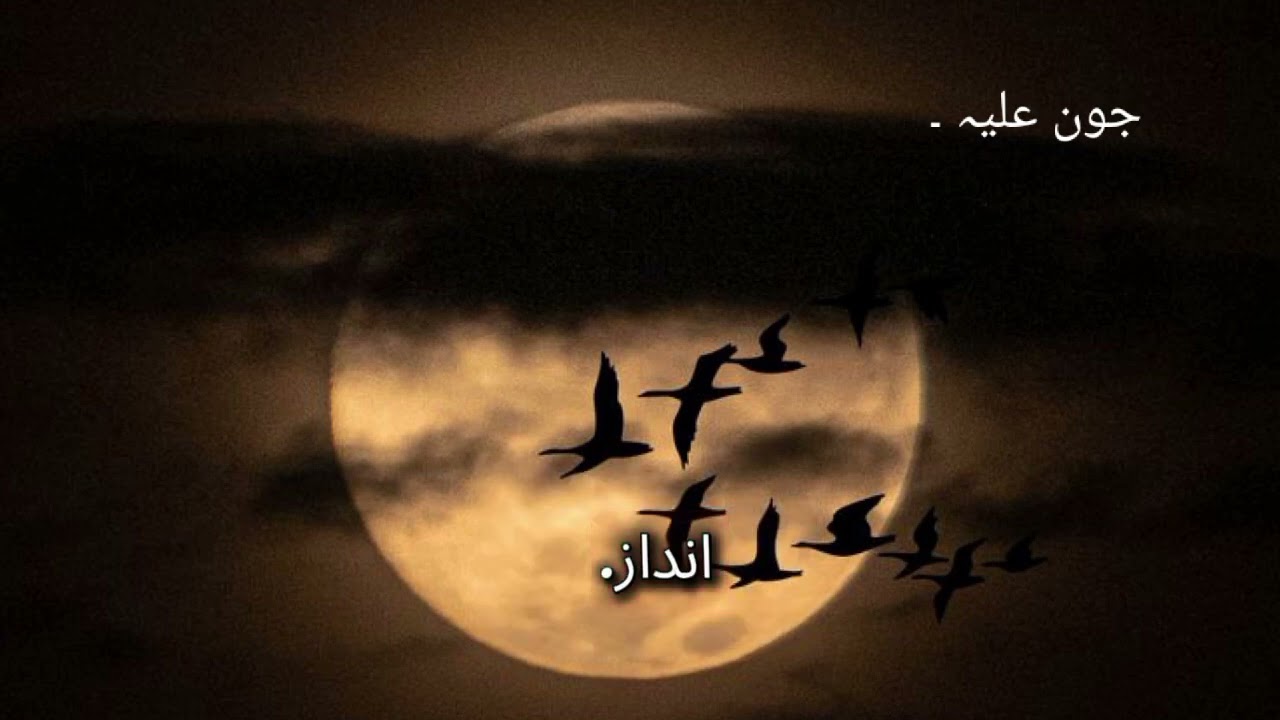 John Ellia Sad Ghazal/ Urdu poetry/Sad love background music