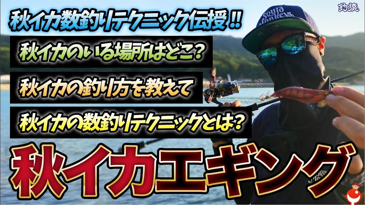 エギング秋イカ数釣りテクニック！今秋すでに250杯以上釣ってる達人の腕をお見せします！