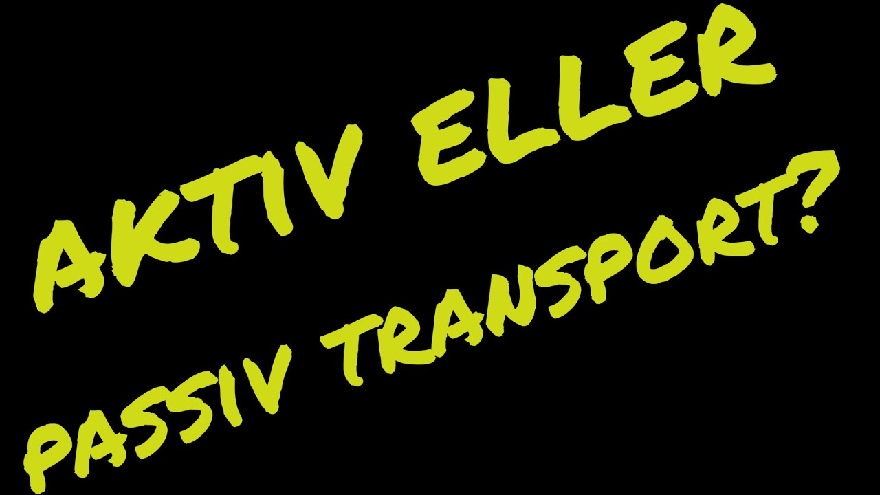 Aktiv eller passiv transport? Hvad koster det?