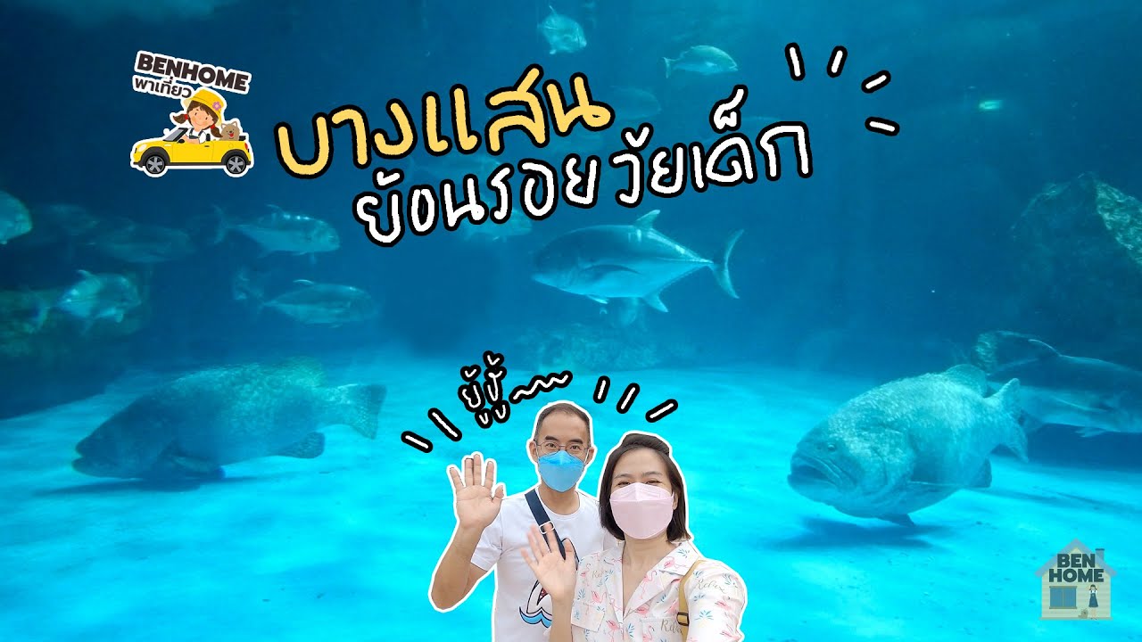 เที่ยวบางแสน ย้อนรอยวัยเด็กกับพิพิธภัณฑ์สัตว์น้ำบางแสน (พิพิธภัณฑ์สัตว์น้ำบางแสน, Secret Beach Cafe)