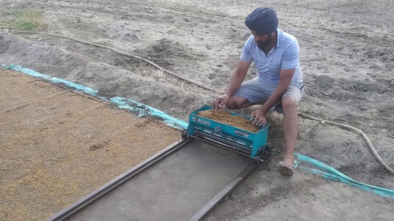 Paddy mat nursery