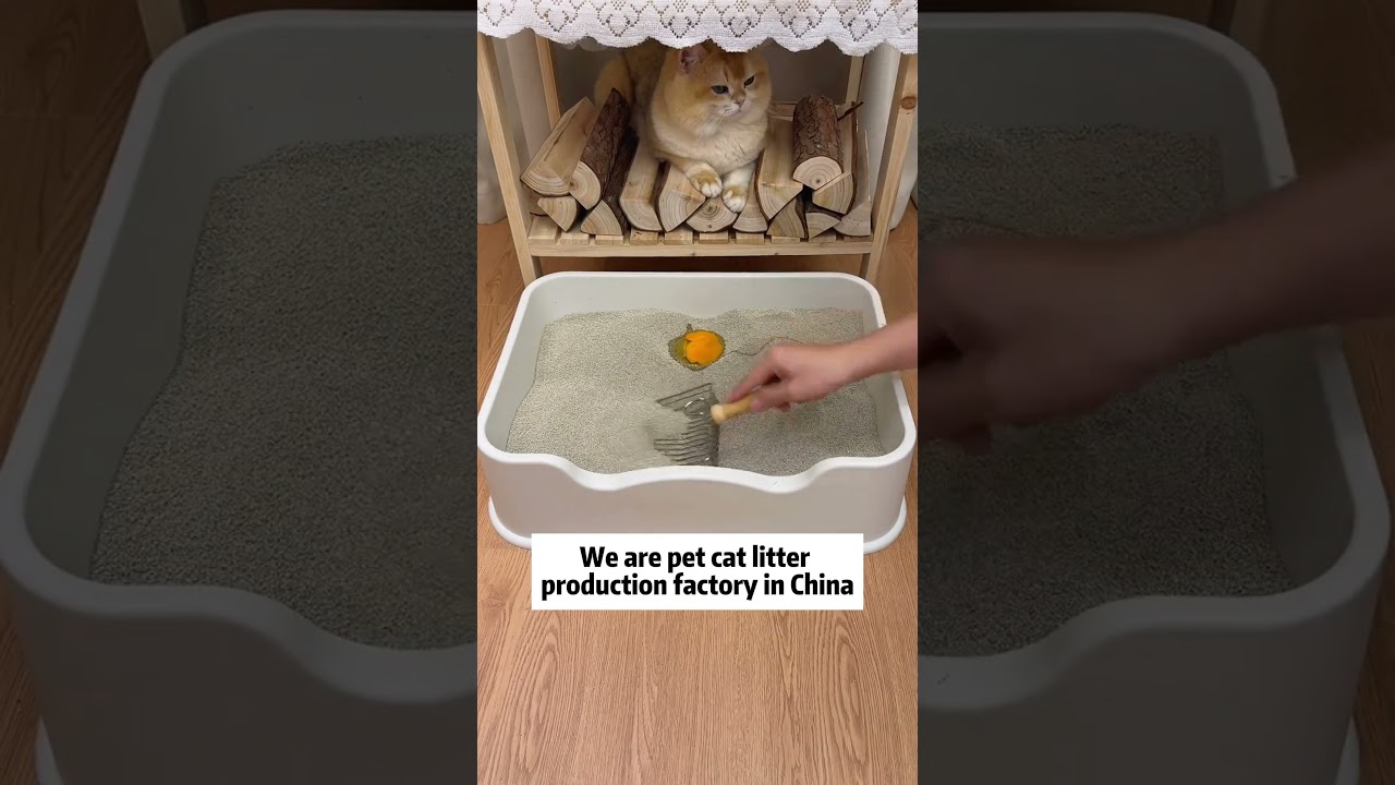 Cat litter factory in China. Cat litter china supplier. Mineral cat litter factory price #pets