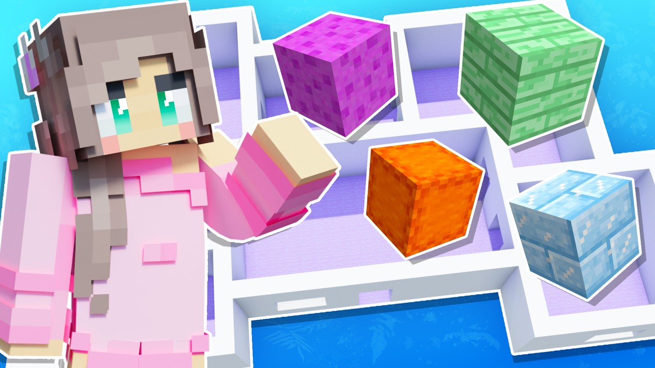 EVERY Block is RANDOM in my Minecraft House!