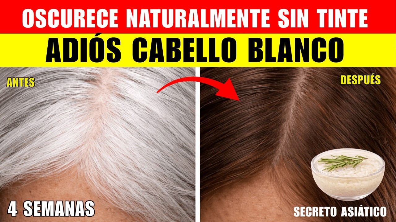 CABELLO BLANCO: Agua ARROZ oscurece naturalmente SIN tinte (secreto asiático 60+)