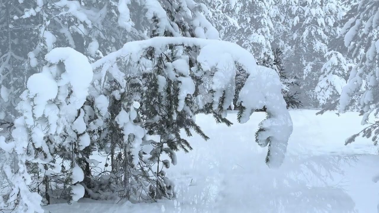 Winter days in northern Finland Kuusamo 