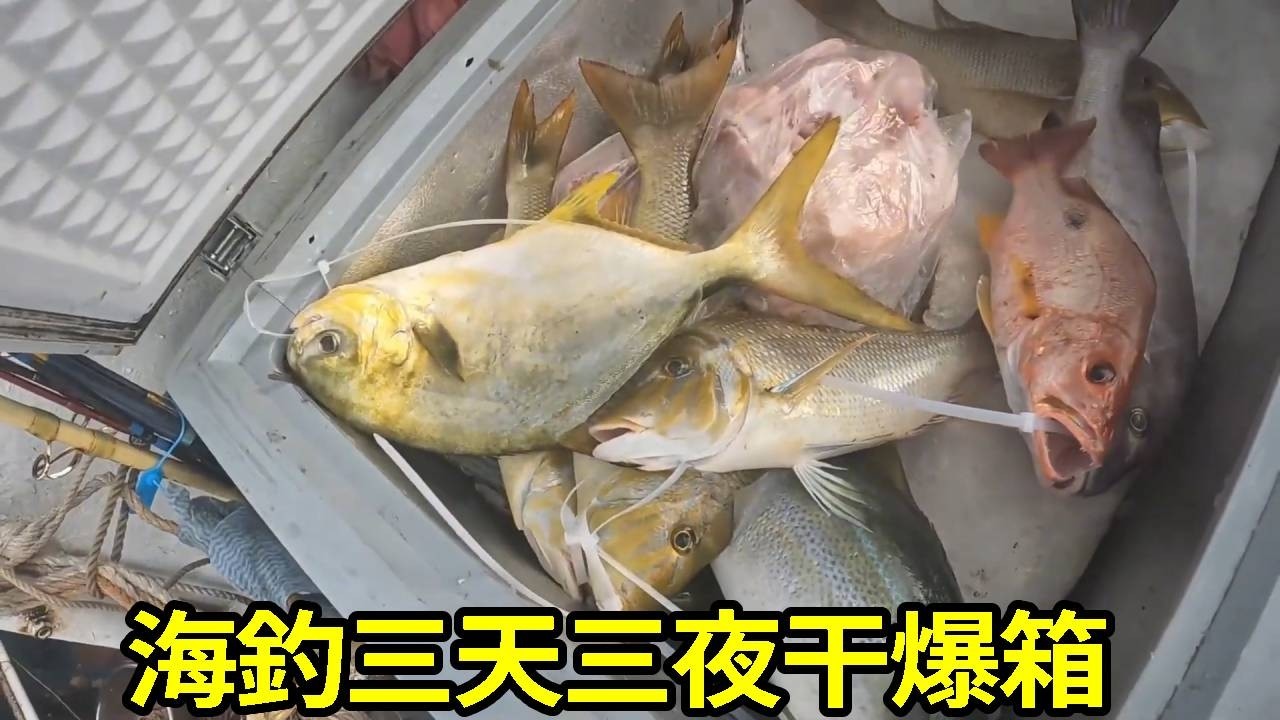 海釣三天三夜直接爆箱，魚兒排著隊上鉤，沒想到這次直接大豐收了，太過癮了！ 【莆農阿敏】