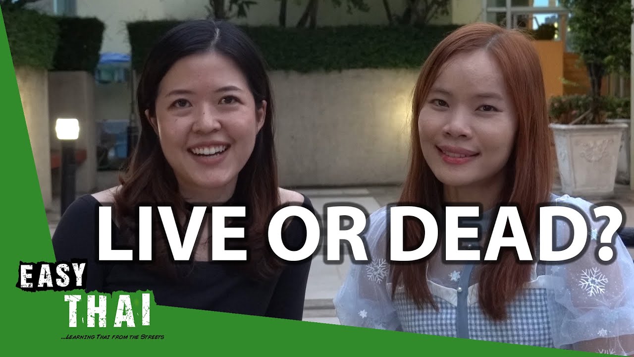 How to Read and Write Thai: Dead vs. Live Syllables | Super Easy Thai 3