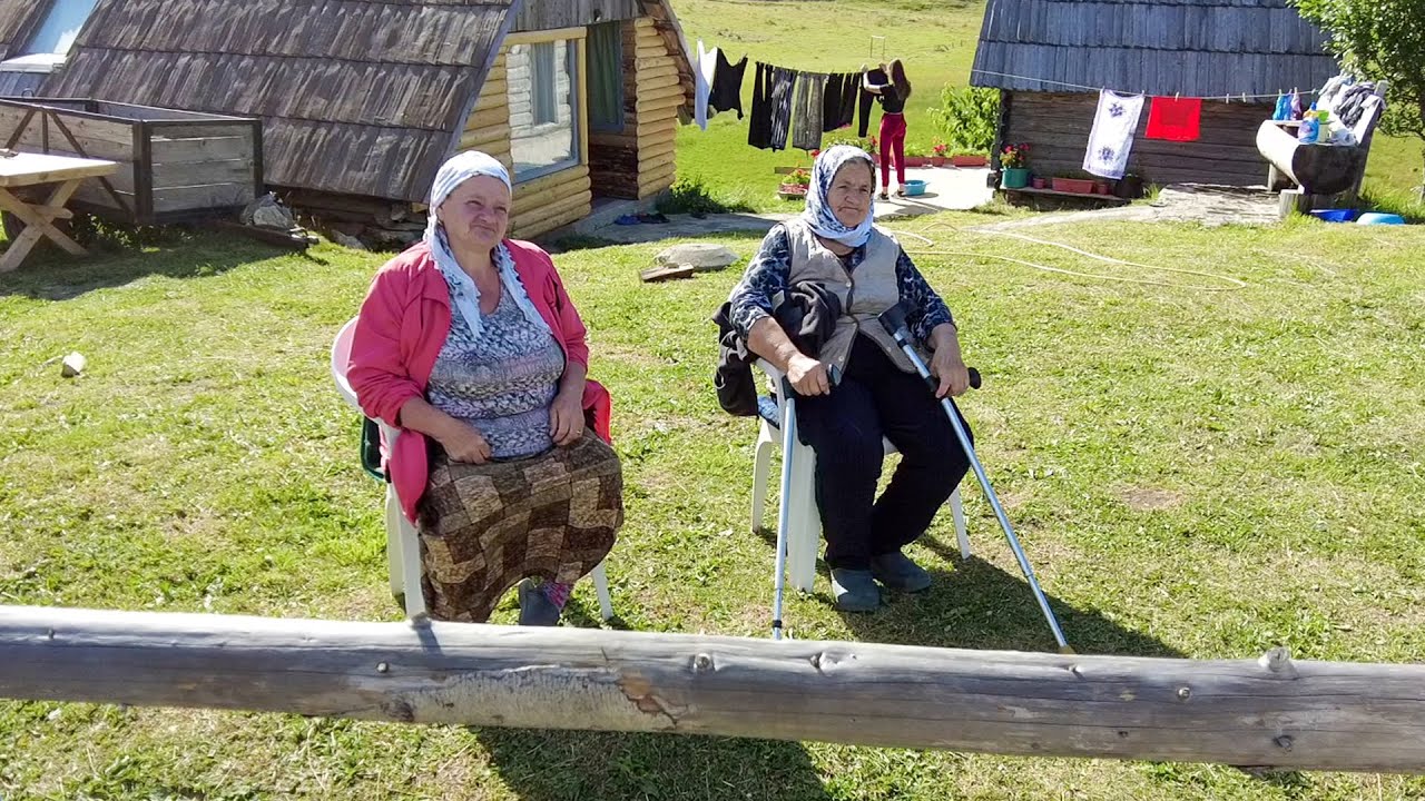 UDOVICA ZEJNA - 