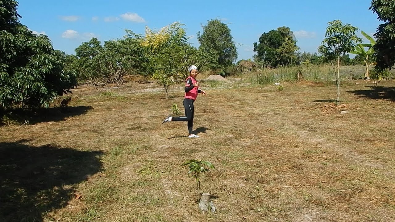 Nam Doc Mai Garden (Vegan Adventure)