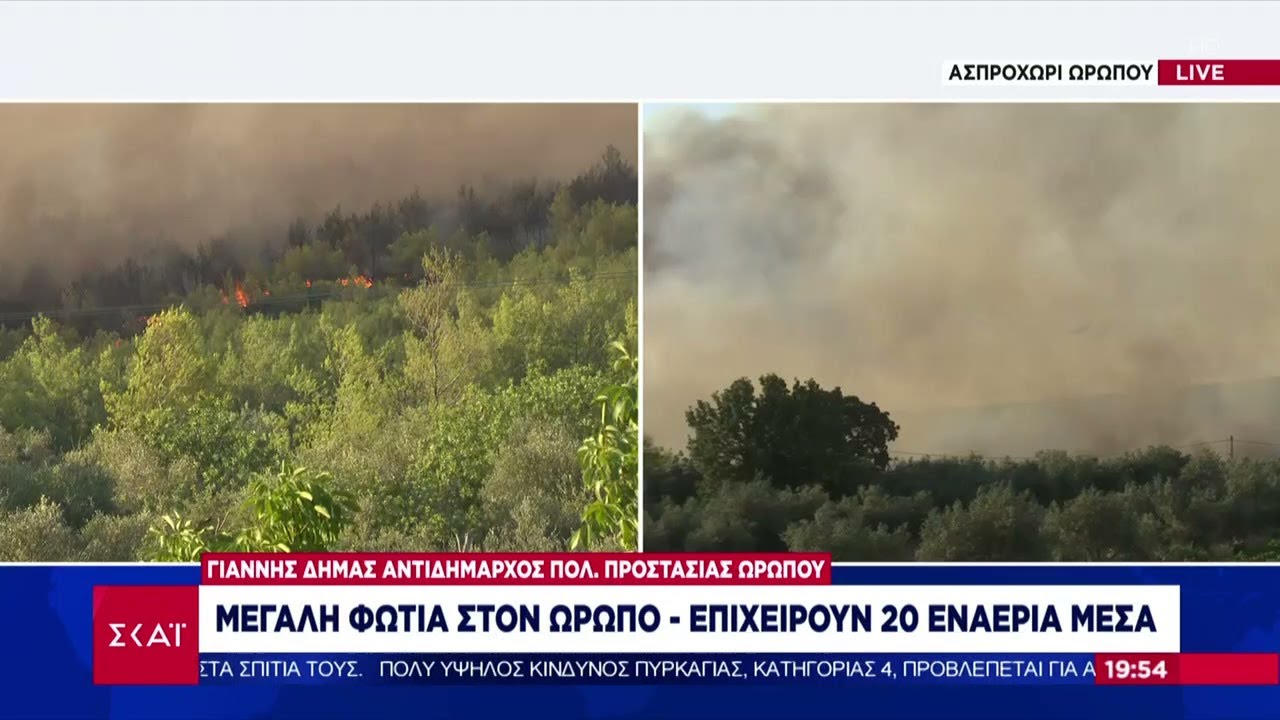 Μεγάλη φωτιά στο Ασπροχώρι Ωρωπού: Μήνυμα από το 112 - Κινητοποιήθηκαν 20 εναέρια μέσα