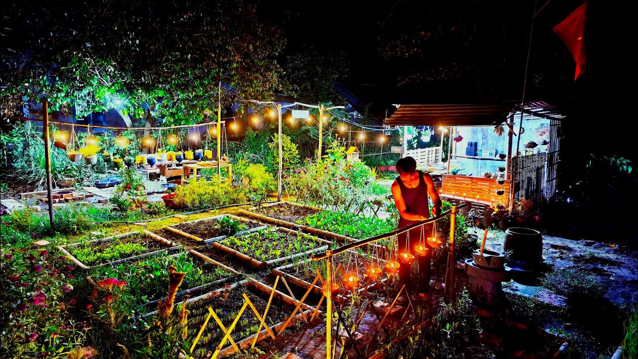 Recycled Bins for Veggies | Coconut Shell Lantern Decor | Dinner in the Garden