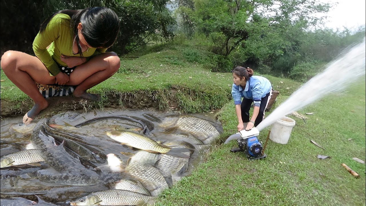 Technique Real Fishing After Flooding Season 2022 - Best Catching many Catfish by hand