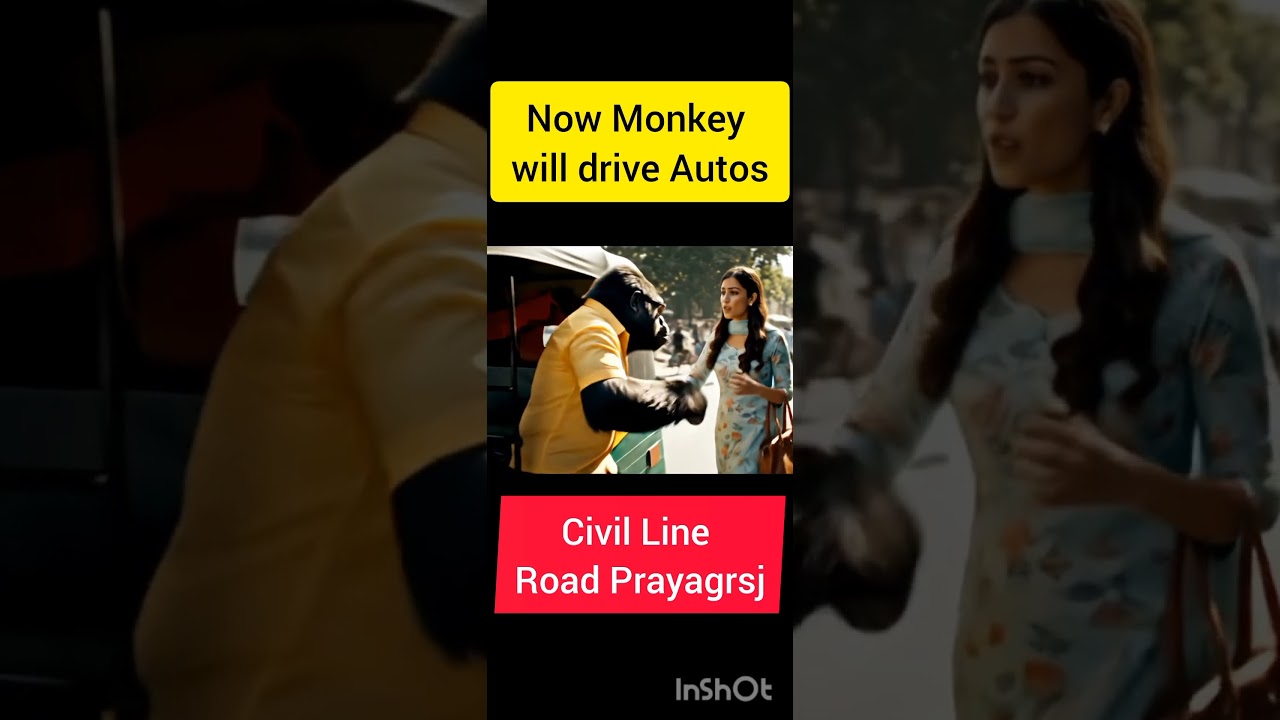 Auto Drivers drives auto 