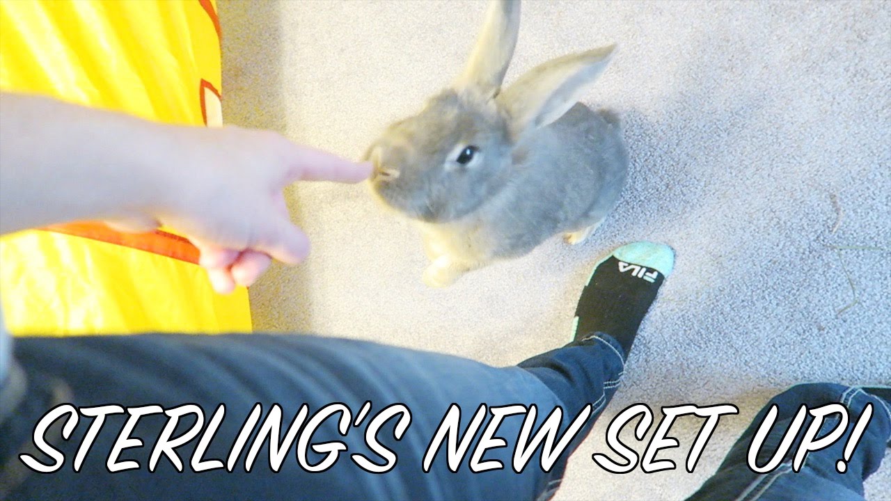 Sterling's New Set Up! - Vlog