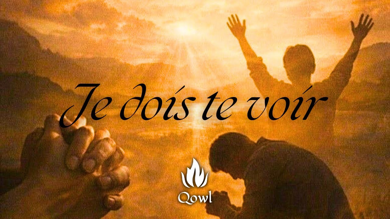 JE DOIS TE VOIR - INSTRUMENTALE | QOWL