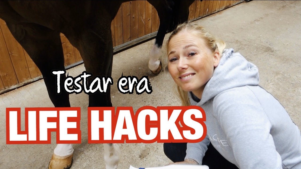 TESTAR ERA LIFE HACKS
