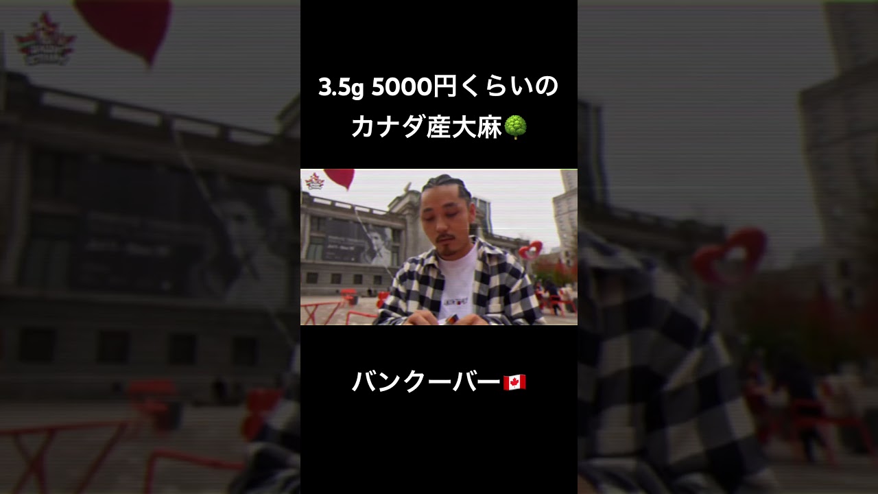 これがカナダの大○麻だ #バンクーバー #canadavlog#cannabisvlog