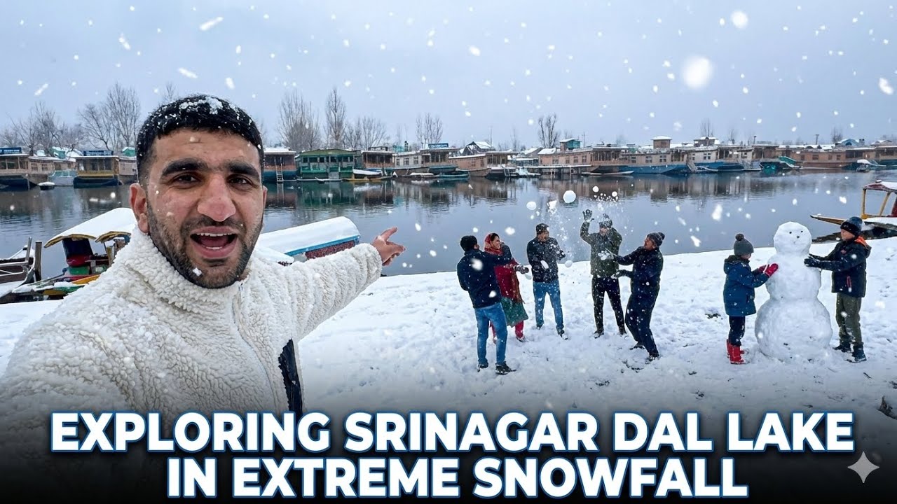 Kashmir trip : Fresh snowfall In Srinagar dal lake  | #srinagar #dallake #snowfall #kashmirtrip 