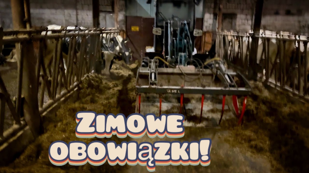 Zimna zima a coś robić trzeba...