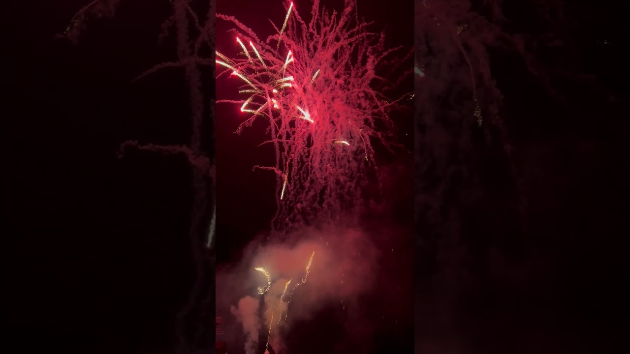Firework | Ferragosto Fuochi d&rsquo;artificio #shorts #youtubeshorts #shortsvideo