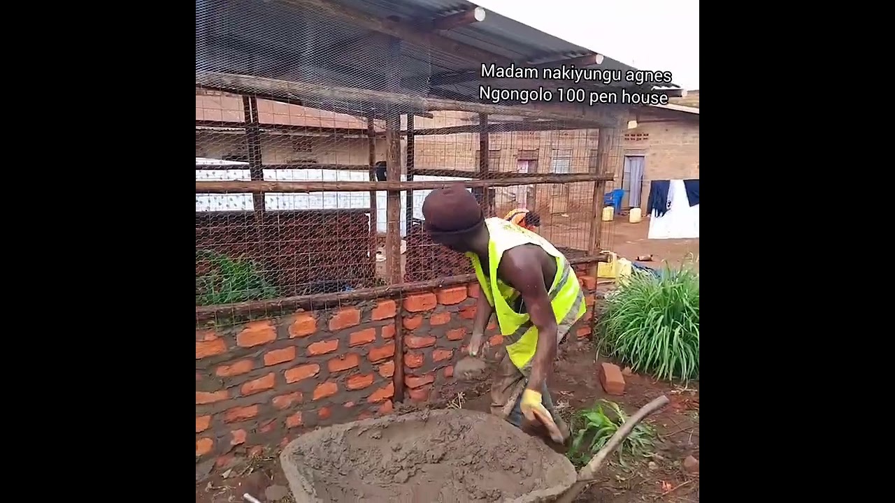TULI NGONGOLO..MUJJE  TULAMBULE FFENA EKIYUMBA KYANKONKO 100