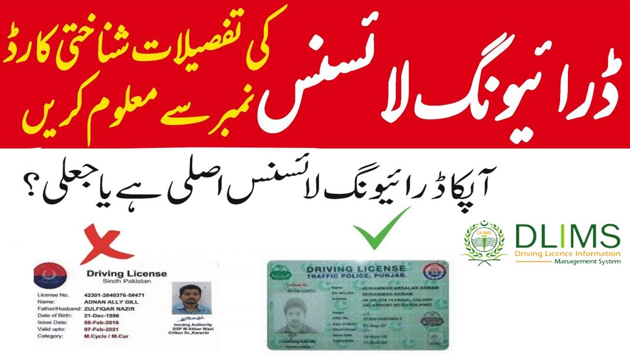 How to Verify Your Driving License Online | DLIMS Punjab Online Driving License Verification