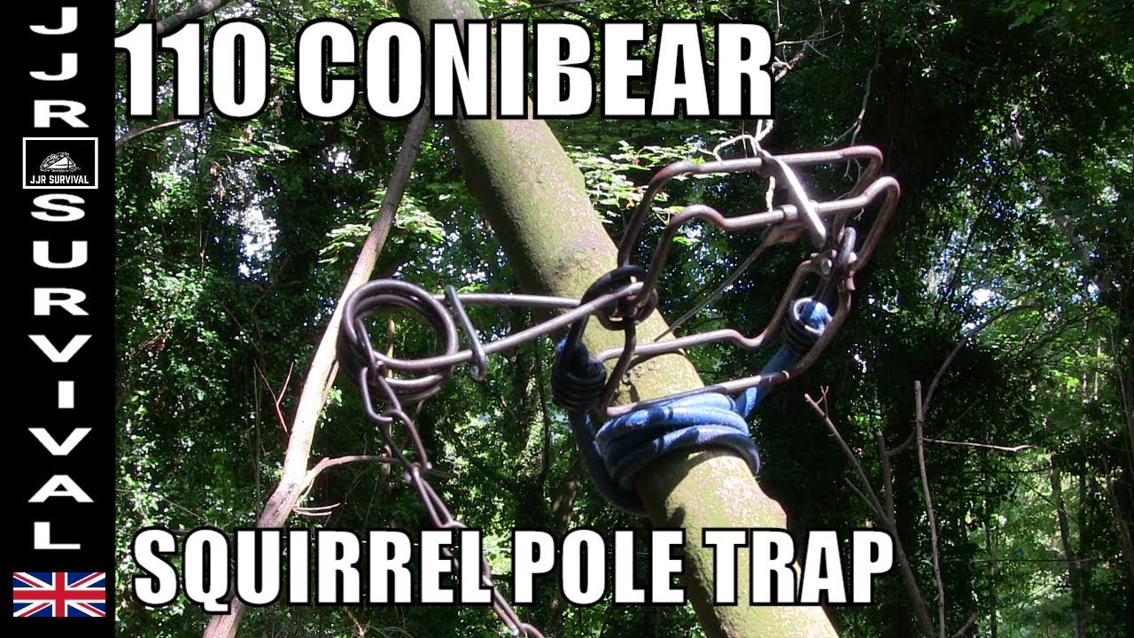 110 Conibear Squirrel Pole Trap