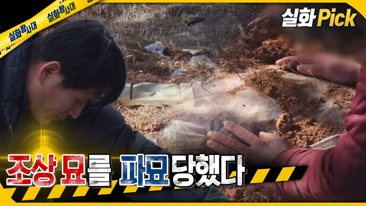 [실화Pick] 조상 묘를 파묘당했다 #실화탐사대 #실화On MBC240321방송