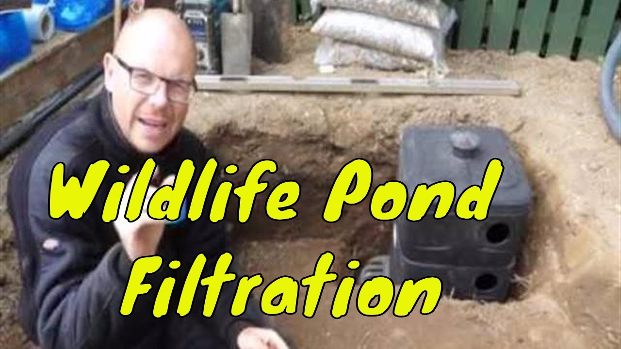 Intake Bay for a wildlife pond - Wildlife Pond Filter - Pond Building