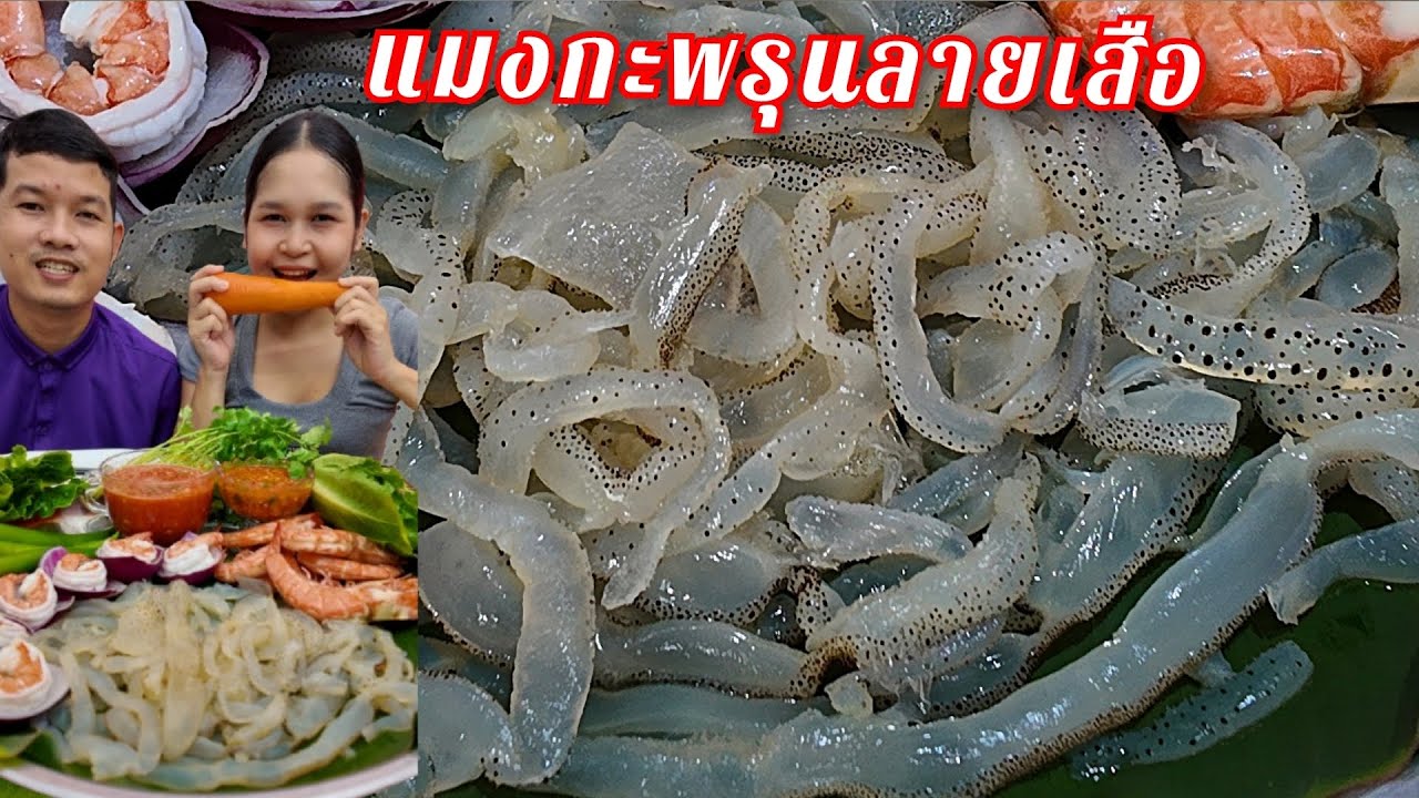 24-10-68 แมงกะพรุนลายเสือหรือแมงกะพรุนเวียดนาม มาพร้อมกุ้งตัวโตๆน้ำจิ้มแซ่บมาก #แมงกะพรุน 