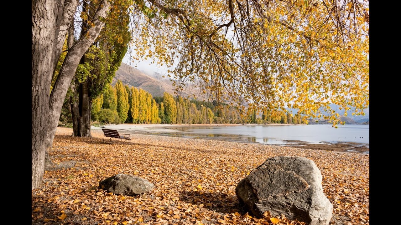 Wanaka things to do, tours and attractions - Must Do New Zealand