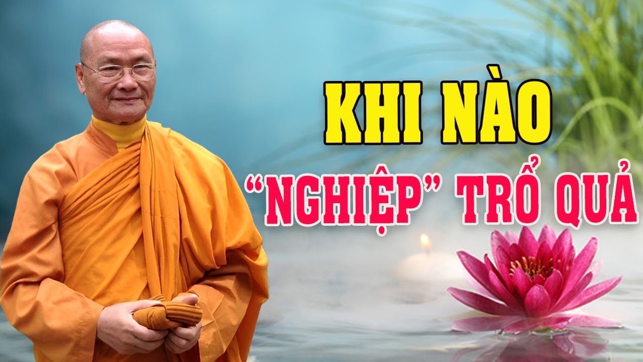 Khi Nào 'Nghiệp' Trổ Quả | Thầy Viên Minh Giảng | Pháp Thoại Vấn Đáp